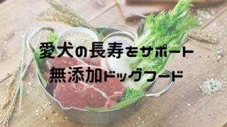 無添加ドッグフード